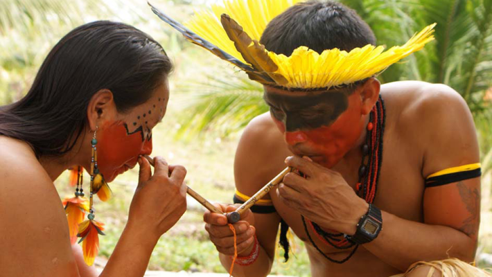 Rape – sveti lijek amazonskih šamana