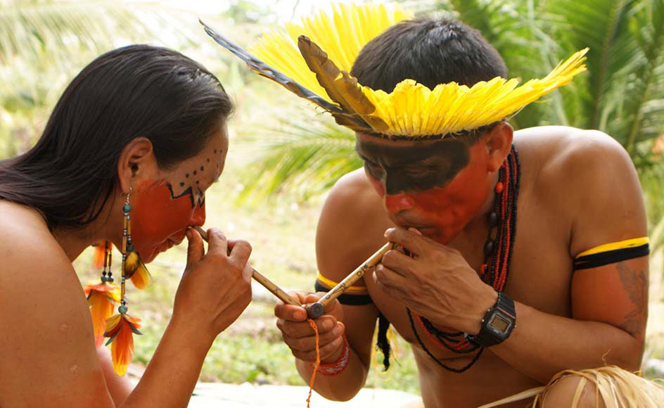 Rape – sveti lijek amazonskih šamana